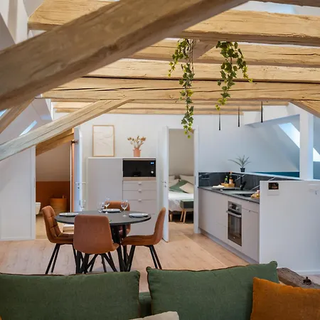 Le 1552 - De Charme - Parking Gratuit Apartment Bergheim