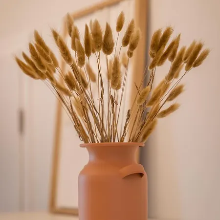 Le 1552 - De Charme - Parking Gratuit Appartement