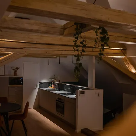 Le 1552 - De Charme - Parking Gratuit * Bergheim