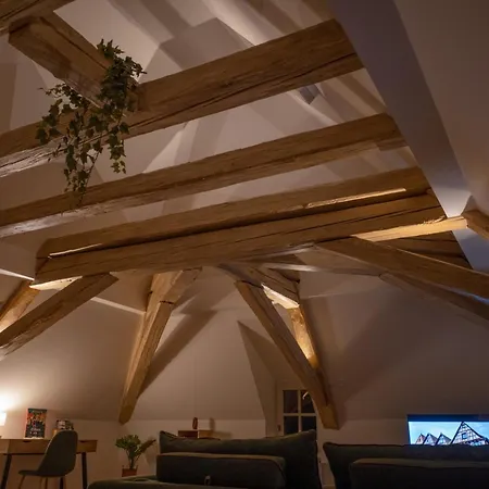 Appartement Le 1552 - De Charme - Parking Gratuit Bergheim