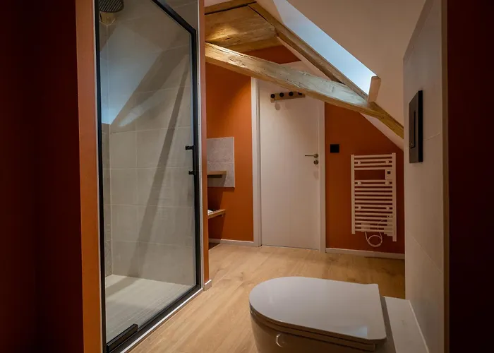 Apartment Le 1552 - De Charme - Parking Gratuit Bergheim