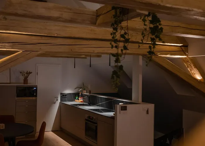 Le 1552 - De Charme - Parking Gratuit * Bergheim